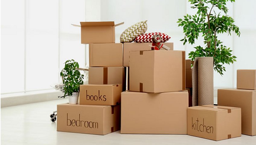 Packing Services